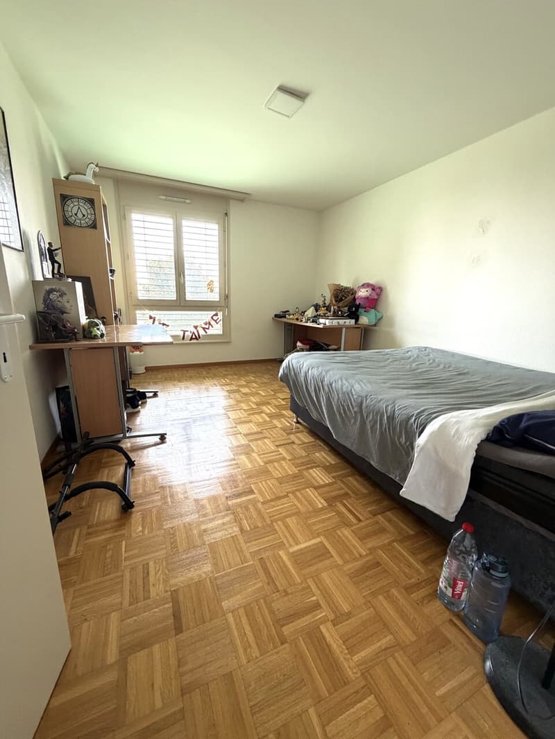 Geräumige 3.5-Zimmer-Wohnung von 95 m2 (6)