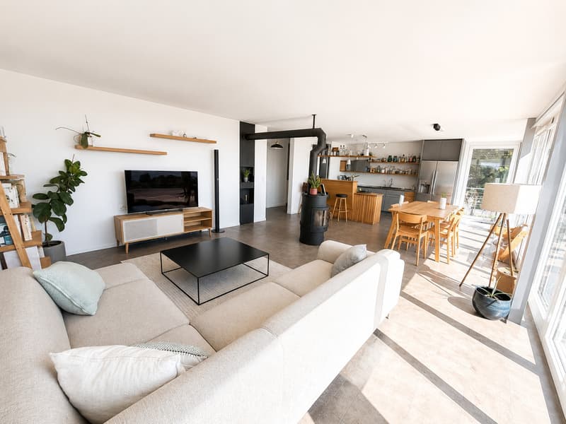 Magnifique attique avec terrasse de 5.5 pièces d'environ 175 m2 (3)