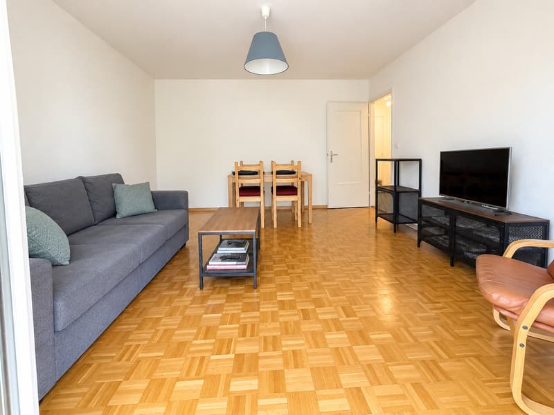 Bel appartement de 2.5 pièces au rez supérieur de 55 m2 (1)