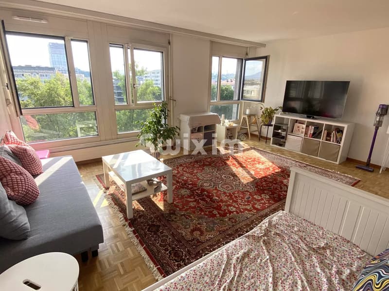 Sehr schönes Apartment als Investition (3)