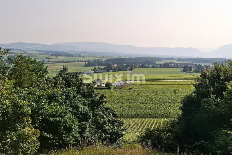 Village property with unsuspected volumes (1)
