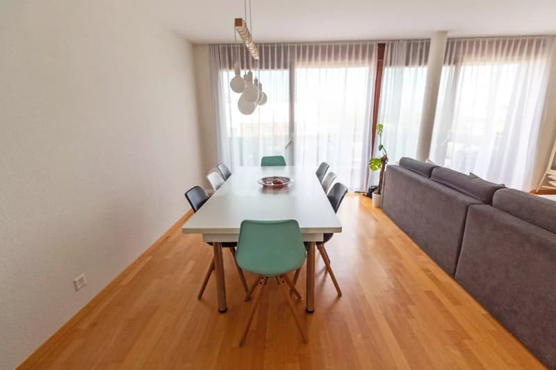 Beautiful 5-room apartment with rooftop terrace (4)