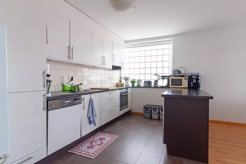 Beautiful 5-room apartment with rooftop terrace (3)