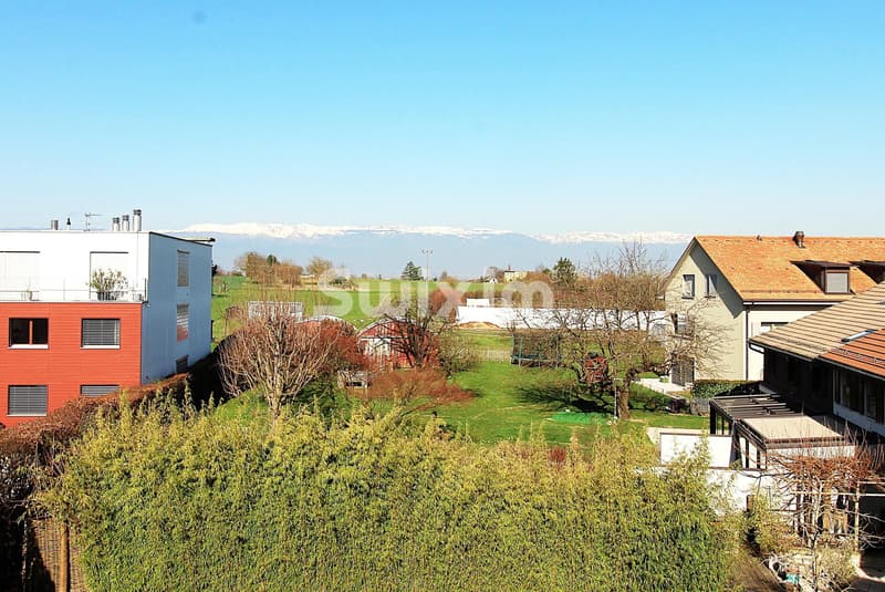 Comfortable attic with unobstructed view (6)