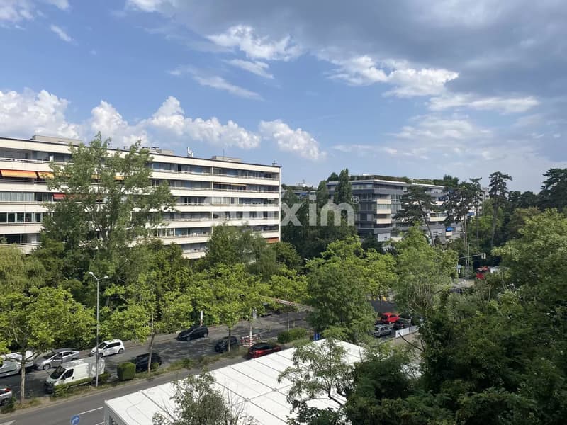 Beautiful 3-room apartment in CASATAX! (3)