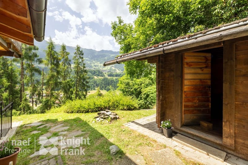 House in the heart of nature (8)