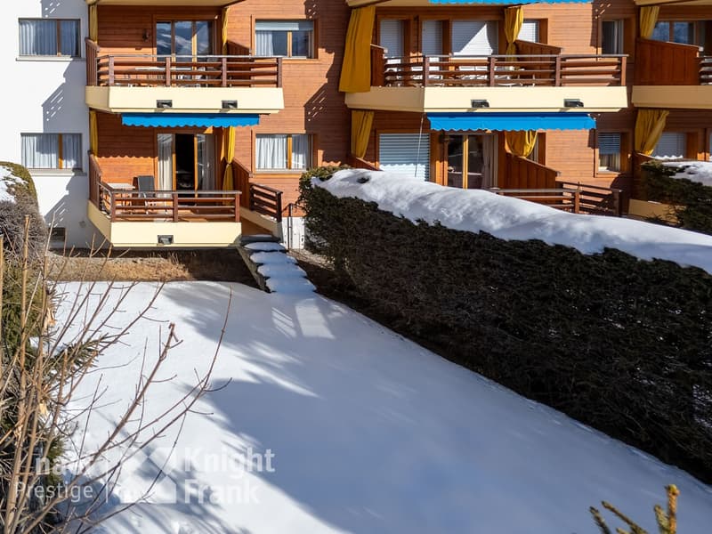 Garden-level apartment (5)