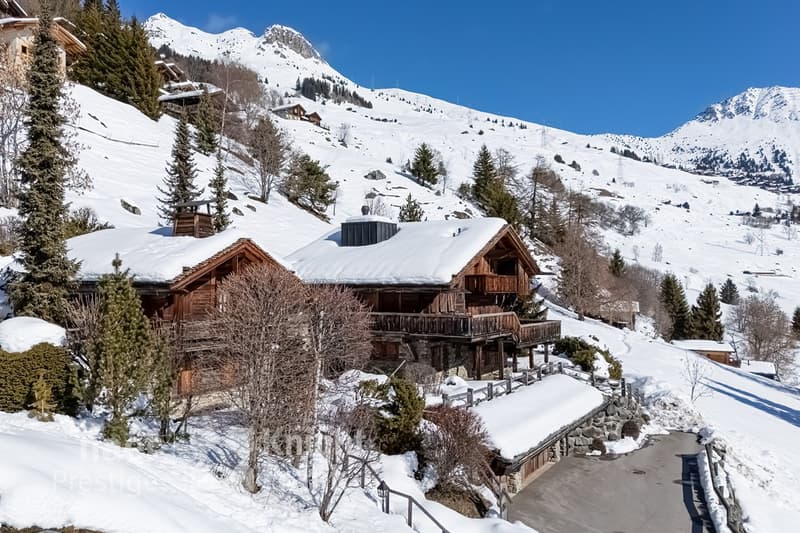 Luxurious chalet and its independent mazot (5)