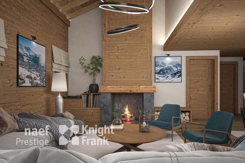 Chalet entièrement rénové, emplacement unique (5)
