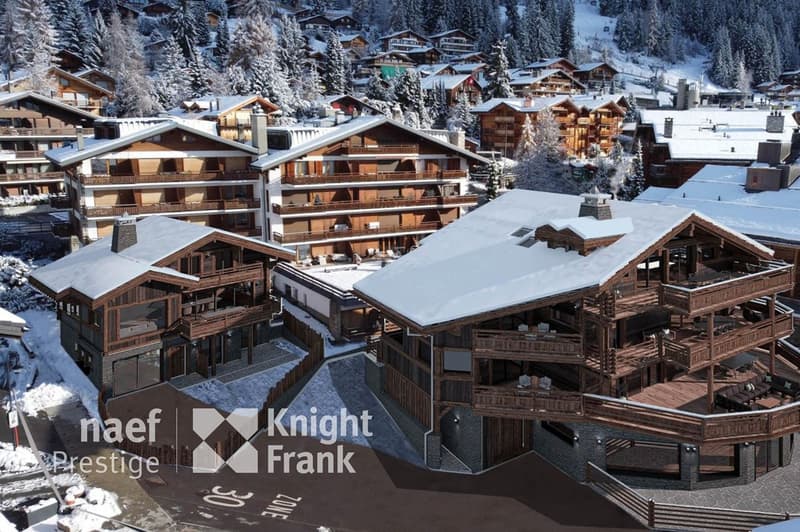 Chalet entièrement rénové, emplacement unique (4)