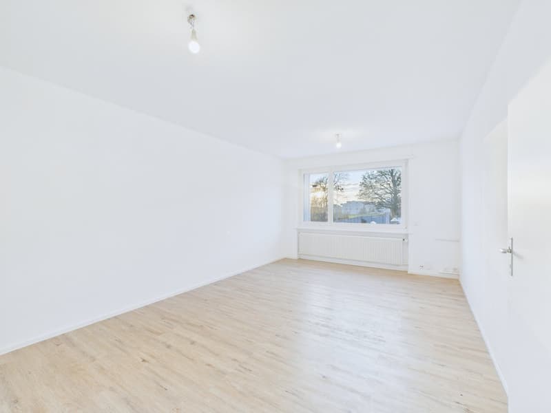 empty room, white walls, wooden floor, large window, radiator