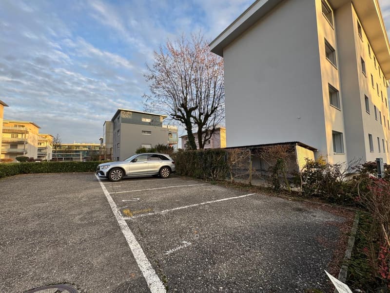 An exterior parking lot with a parked SUV in front of a building with a tree
