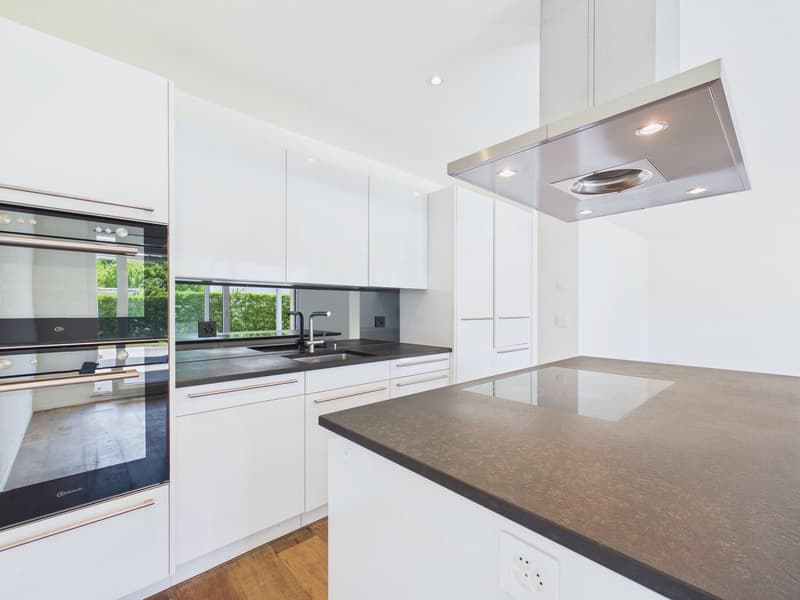 Modern garden apartment with high living quality (3)