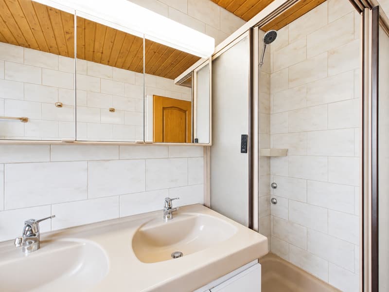 Appartamento attico esclusivo in una zona residenziale molto richiesta a Solothurn (14)