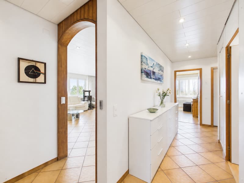 Appartamento attico esclusivo in una zona residenziale molto richiesta a Solothurn (9)