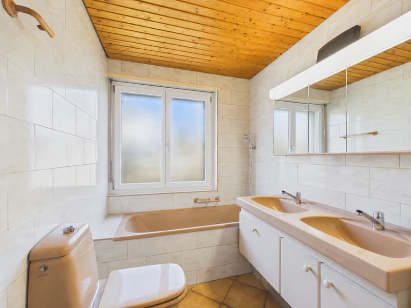 Appartamento attico esclusivo in una zona residenziale molto richiesta a Solothurn (13)
