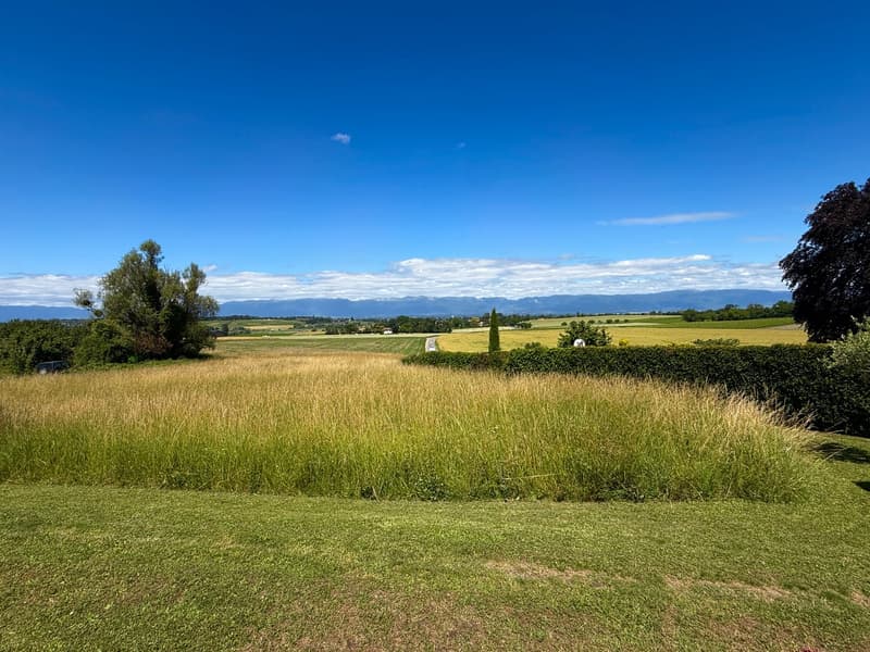 EXCLUSIVITY - Magnificent renovated village house - Jussy (13)