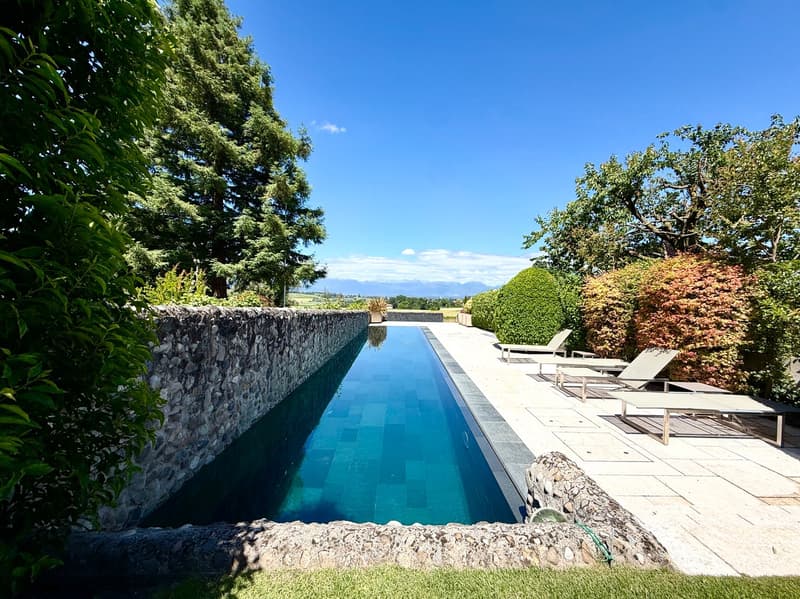 EXCLUSIVITY - Magnificent renovated village house - Jussy (1)