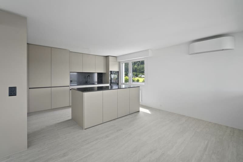 Appartamento penthouse di 5,5 locali con vista mozzafiato sulle montagne e sul lago (2)