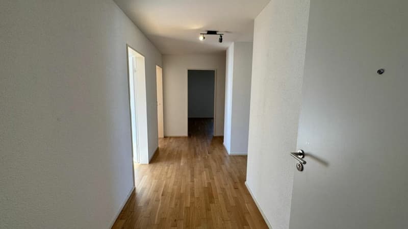 Moderne 4.5-Zimmer-Wohnung mit grosser Terrasse (7)