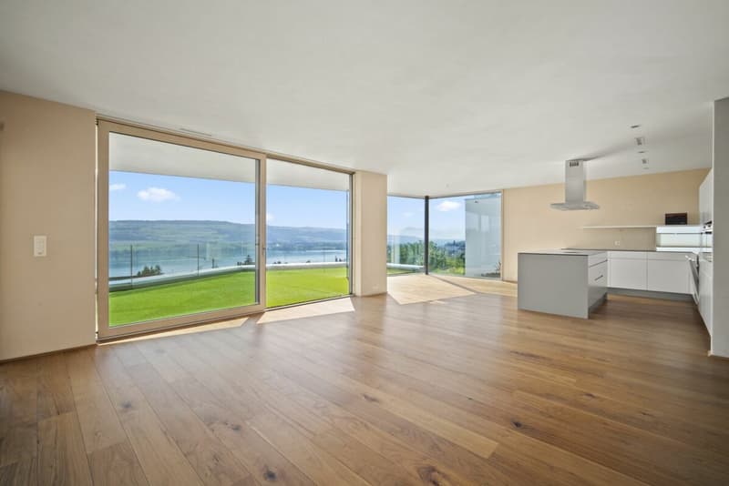 TERRASSENWOHNUNG MIT TRAUMHAFTER AUSSICHT (3)