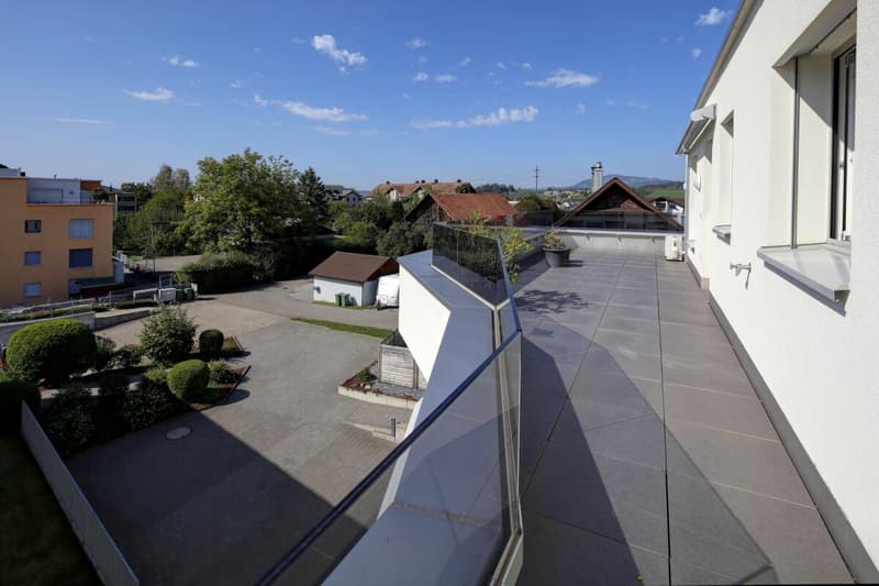 Exklusive Attikawohnung mit Weitblick - modernes Wohnen auf höchstem Niveau (1)