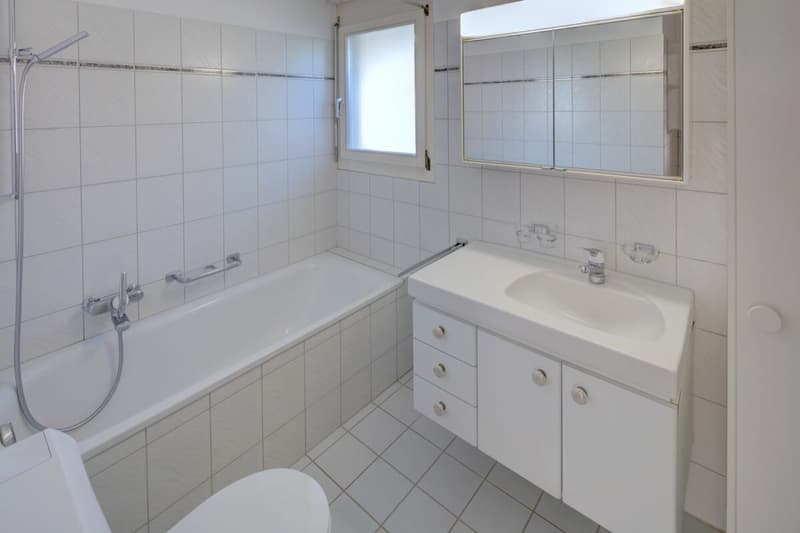 geräumige 4.5 Zimmerwohnung in familienfreundlichem Wohnquartier (7)