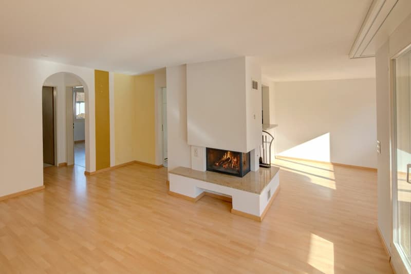 geräumige 4.5 Zimmerwohnung in familienfreundlichem Wohnquartier (1)