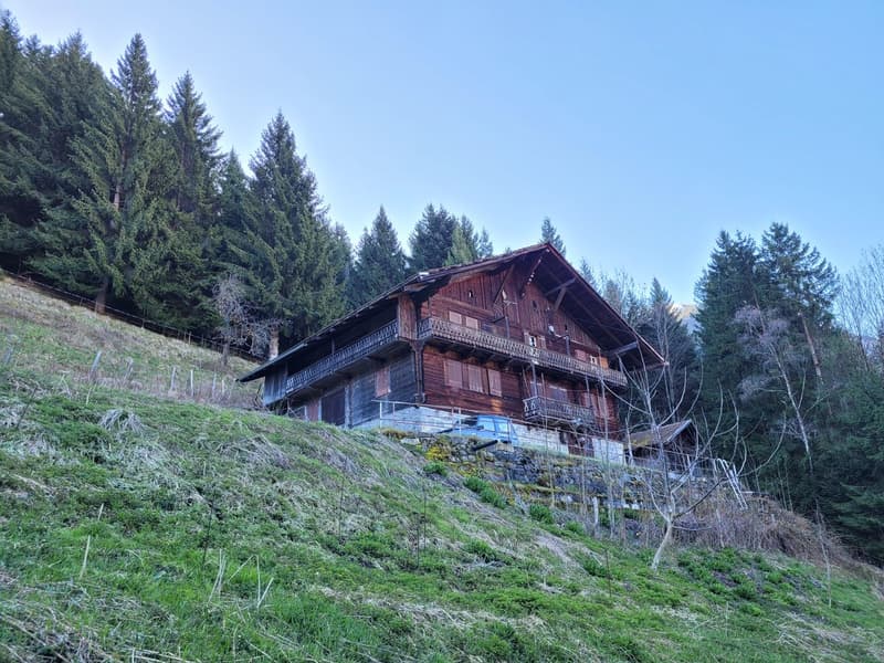Former farm of 1916 in the heart of nature - Val d'Illiez (1)