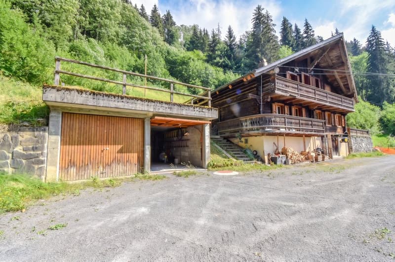 Authentique chalet de caractère - Vente en résidence secondaire (1)