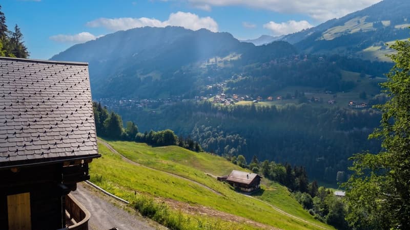 Authentique chalet de caractère - Vente en résidence secondaire (2)