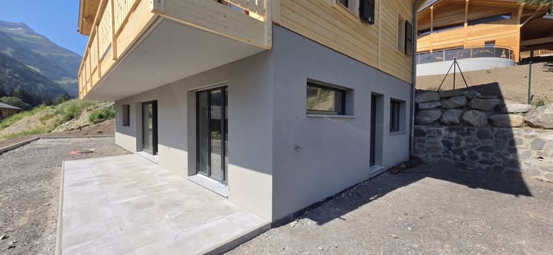 Apartment 3.5 - REZ unit (finishes to tenant's liking) (2)