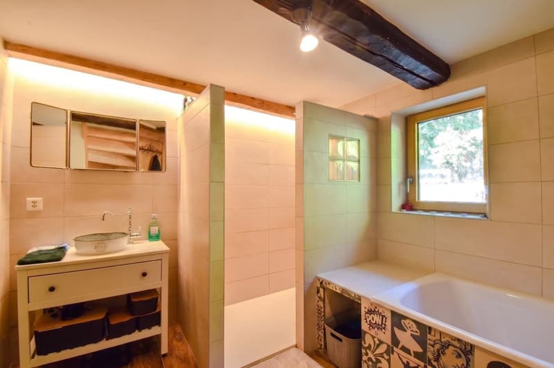 Salle de bain avec douche, baignoire et WC