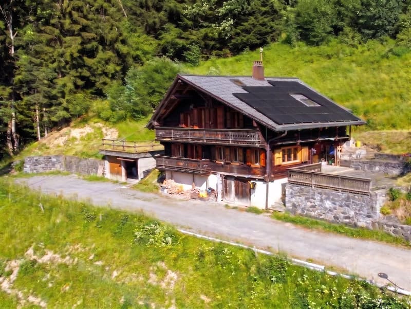 Vue générale