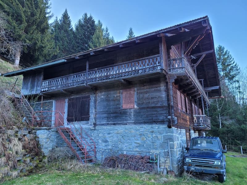 Ancienne ferme de 1916 au coeur de la nature - Val d'Illiez (7)
