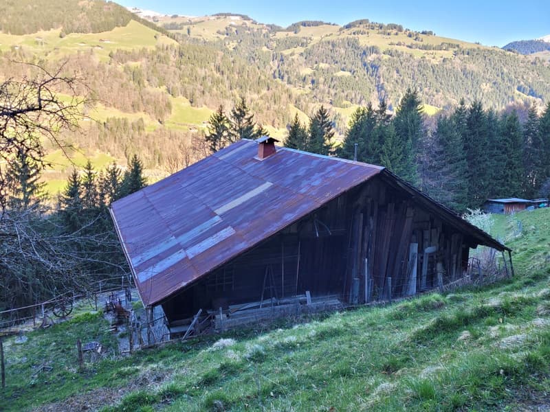 Ancienne ferme de 1916 au coeur de la nature - Val d'Illiez (6)