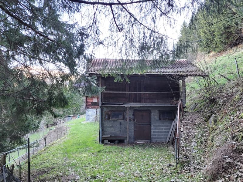 Ancienne ferme de 1916 au coeur de la nature - Val d'Illiez (8)