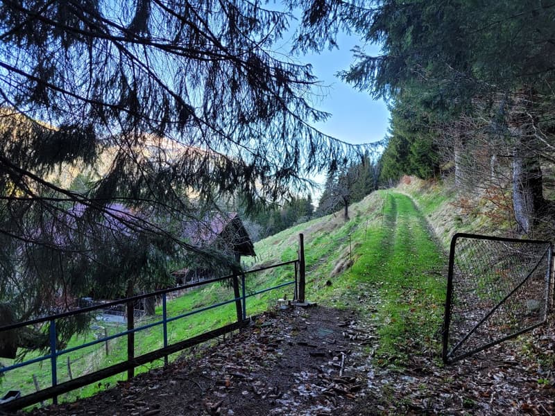 Ancienne ferme de 1916 au coeur de la nature - Val d'Illiez (10)