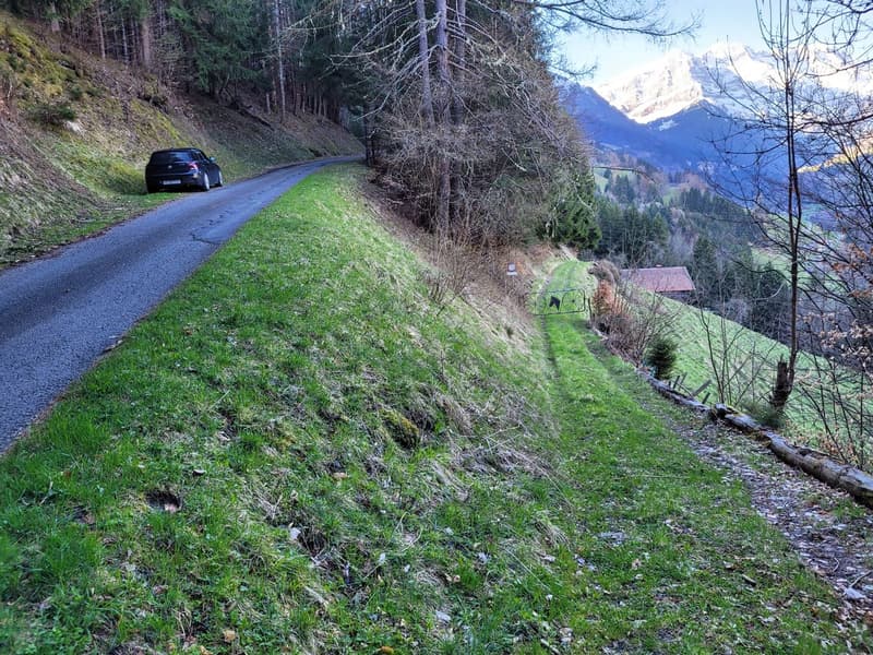 Ancienne ferme de 1916 au coeur de la nature - Val d'Illiez (11)