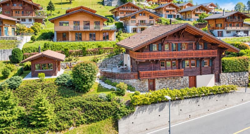 Chalet de caractère rénové - authenticité, volumes et proximité du village (1)
