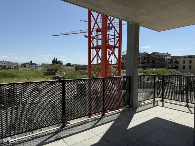 Elevated Living with a View over the Large Park of the Ziegelei Quarter (E 1.2) (6)