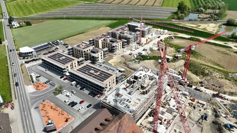 Nuova sede di ufficio/studio nel vivace quartiere di Ziegelei (12)