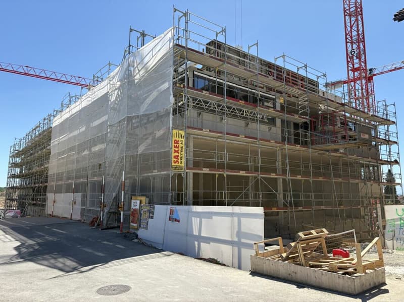 Vivere in modo moderno nel quartiere Ziegelei in ascesa (3)