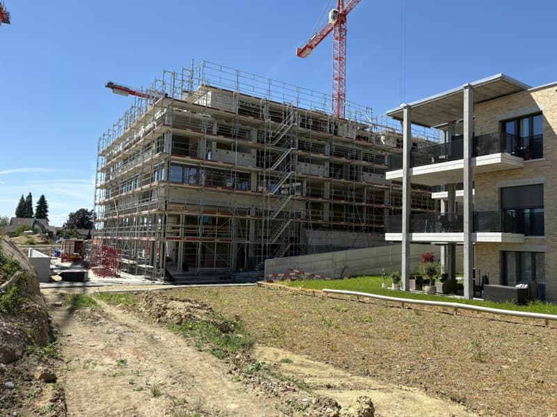 Prima locazione dal 01.12.2026 - Un nuovo capitolo - Ziegelei-Quartier Berg TG (1)