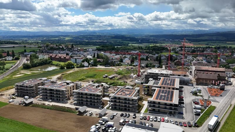 Piani moderni per una vita moderna - Quartiere Ziegelei Berg (2)