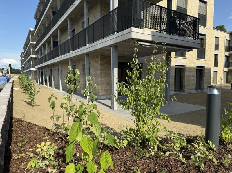 Appartamento di 4,5 locali al piano terra con giardino spazioso (D 0.5) (15)