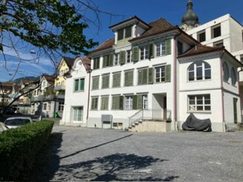 Maisonette di 2 locali appena ristrutturata ad Altstätten (2)