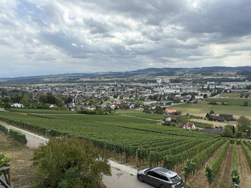 Wohnen mit Weitblick - charmante 2-Zimmer-Wohnung am Ottoberg (9)