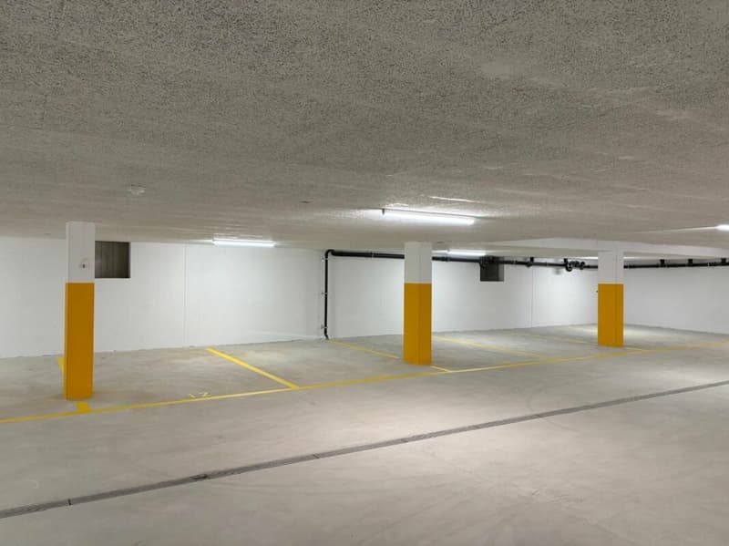 Einstellhallenplatz zu vermieten (2)
