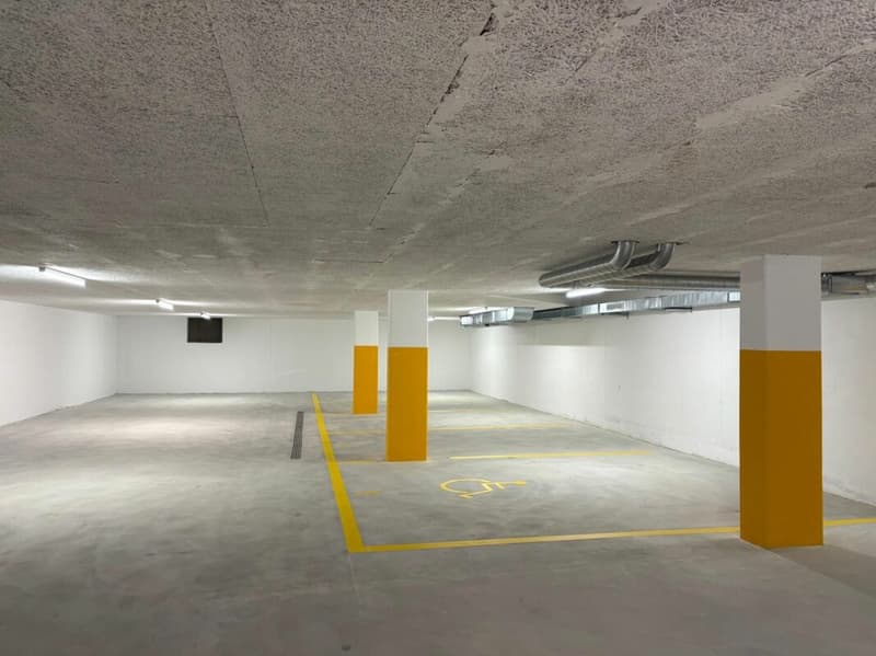 Einstellhallenplatz zu vermieten (1)